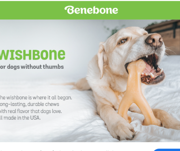 Dog chewing Benebone Wishbone toy