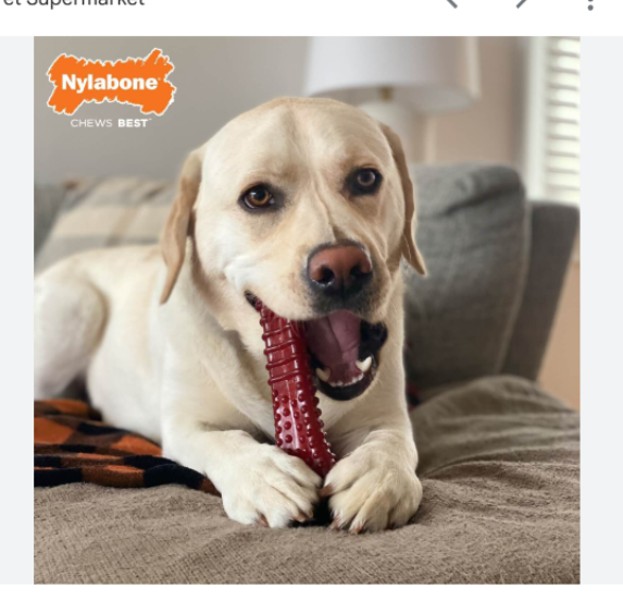 Dog chewing Nylabone Power Chew toy