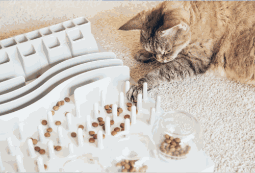 TRIXIE Activity Fun Board cat toy
