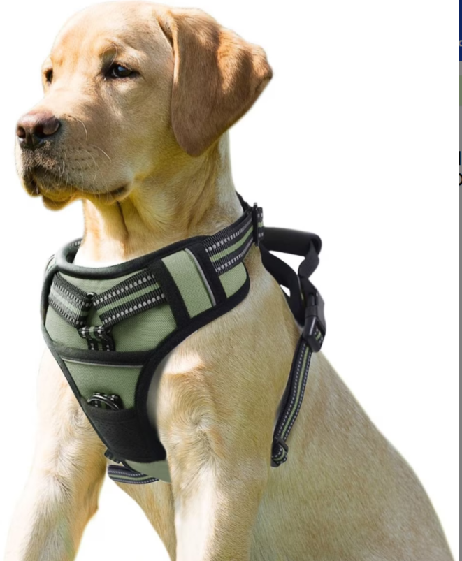 Jespet Goopaws Adjustable Padded Harness for large dogs