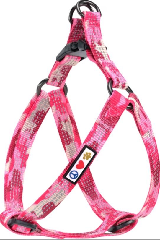 Pawtitas reflective step-in harness for small dogs