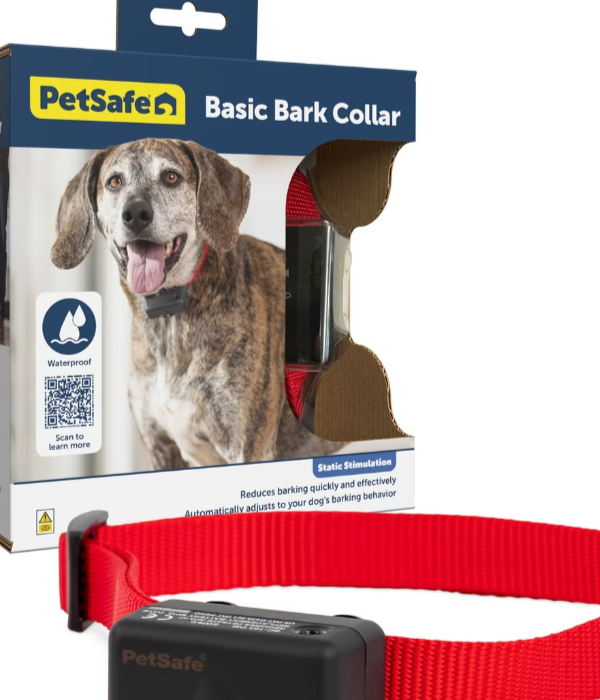 PetSafe Static Basic Bark Collar